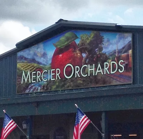 Feature Farm: Mercier Orchards