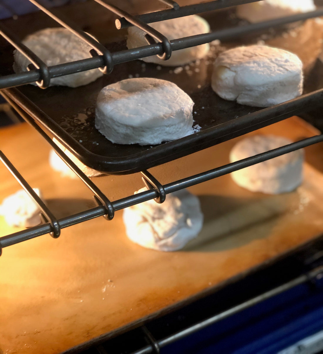 Biscuits out of the oven