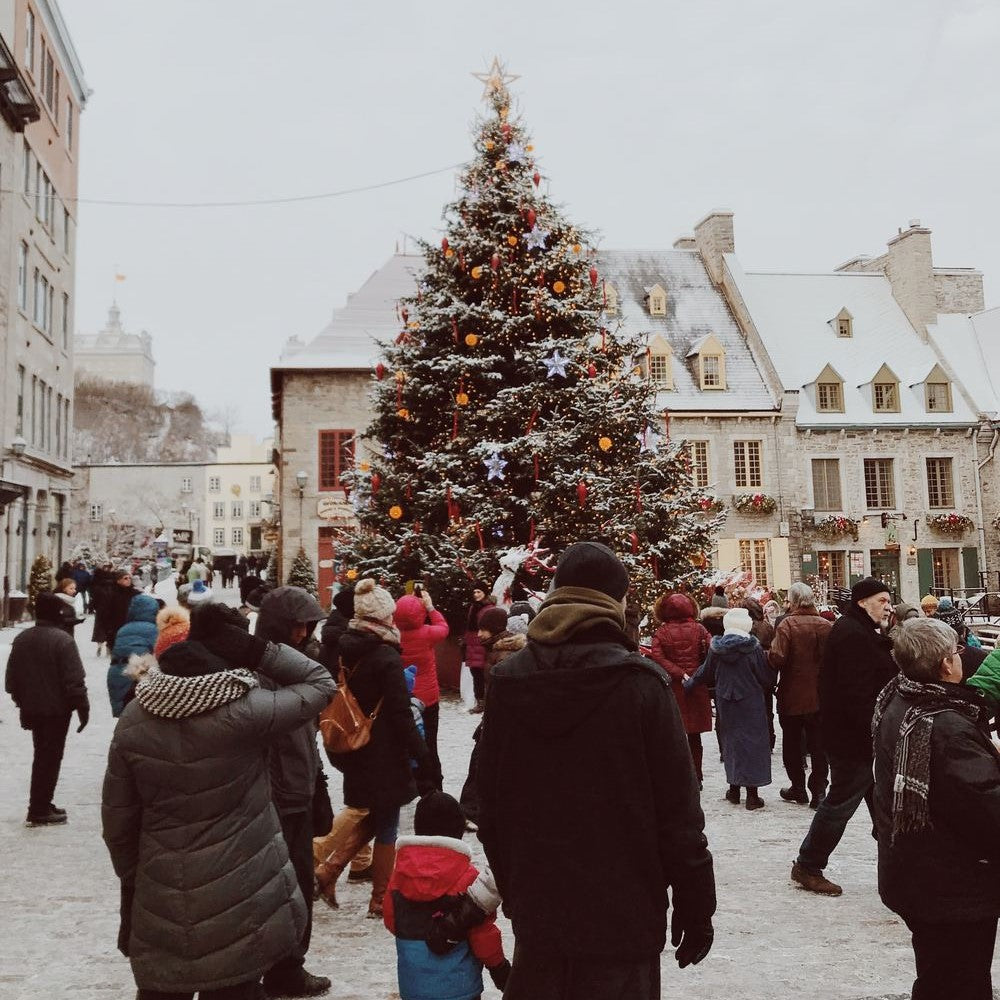 2019 Christmas Information Sheet